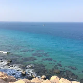 تبصير الفنجان